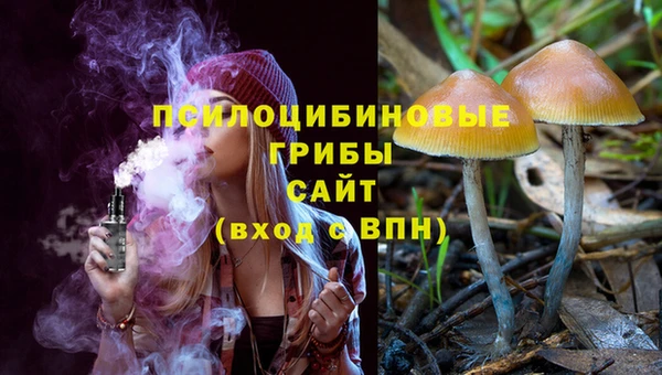 MDMA Premium VHQ Нязепетровск