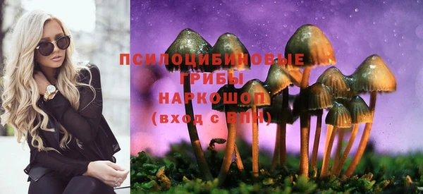 МДПВ Няндома