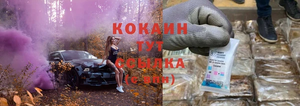 МДПВ Няндома